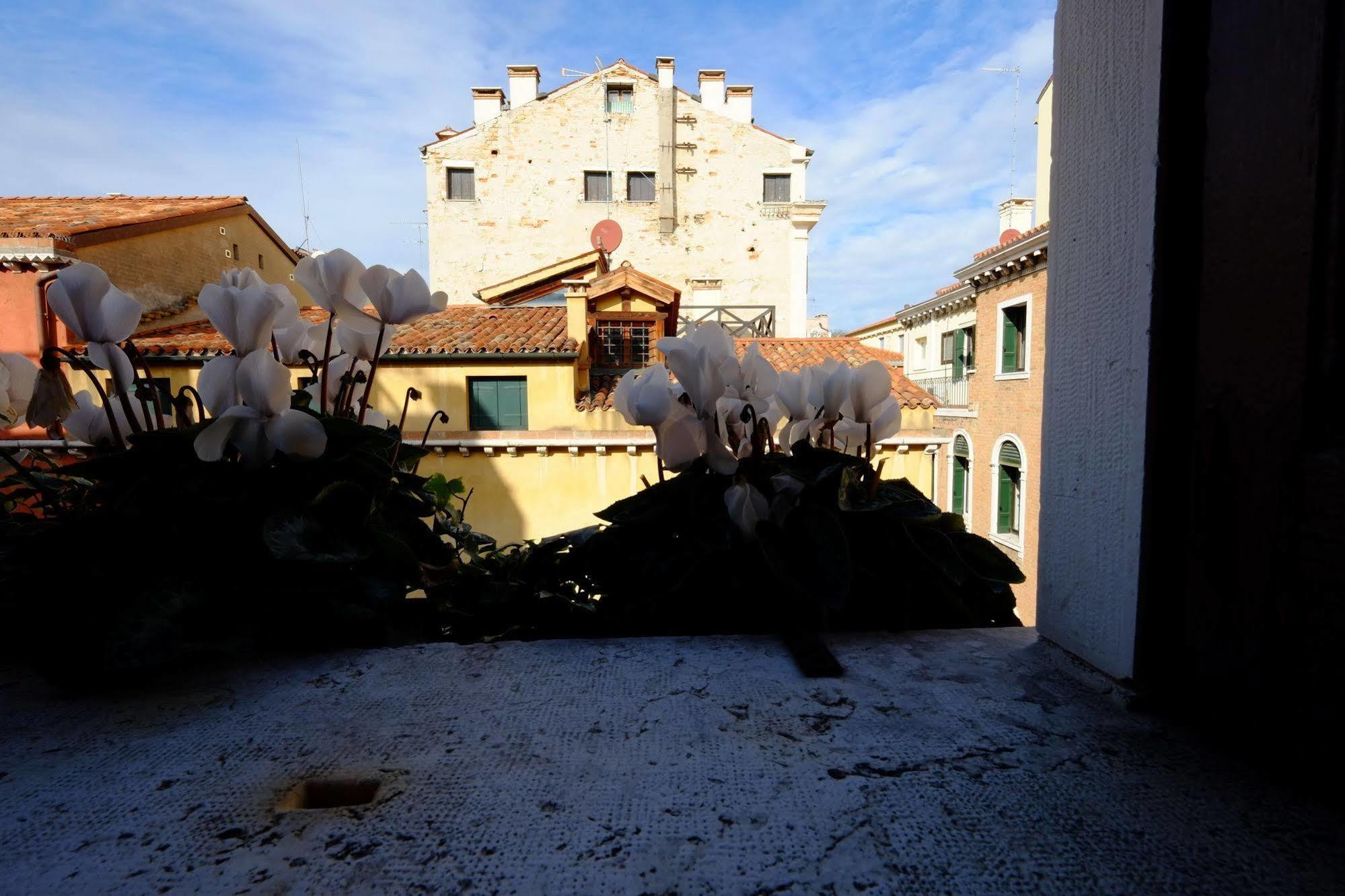 Ca' Pedrocchi Affittacamere Venezia